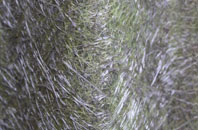 Darfoulds fibreglass roof work